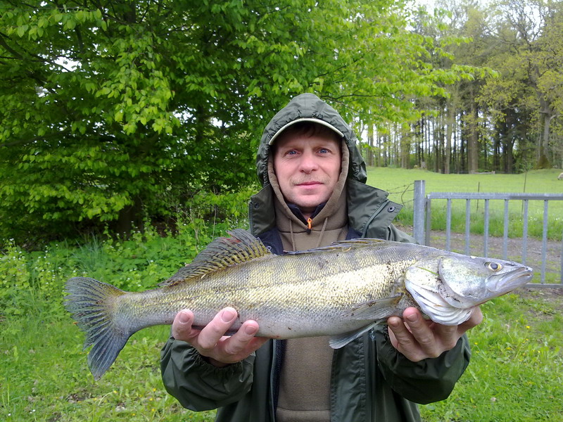 Peter_Zander_58cm.jpg